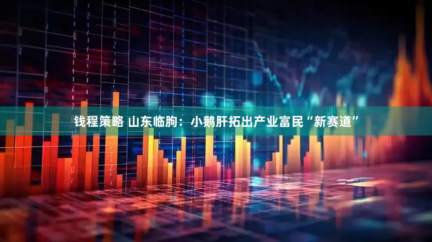 钱程策略 山东临朐：小鹅肝拓出产业富民“新赛道”