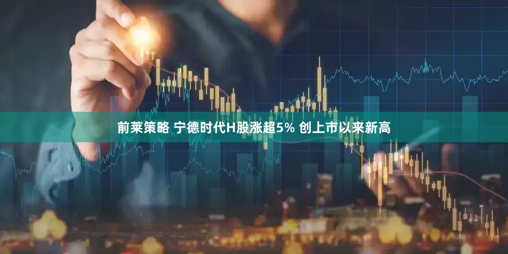 前莱策略 宁德时代H股涨超5% 创上市以来新高